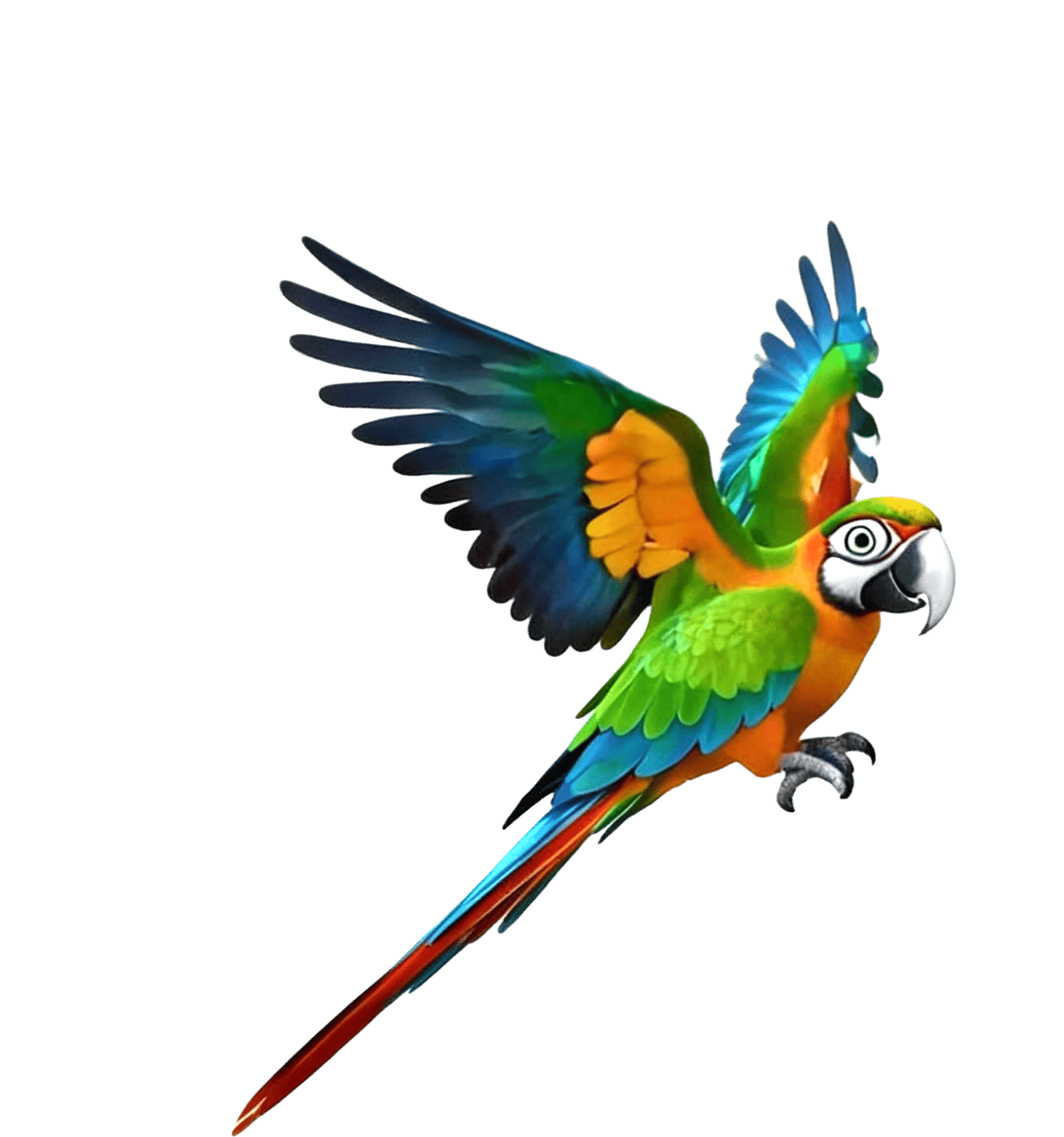 Macaw